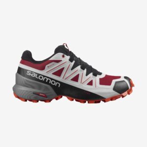 Scarpa Salomon SpeedCross5 gtx