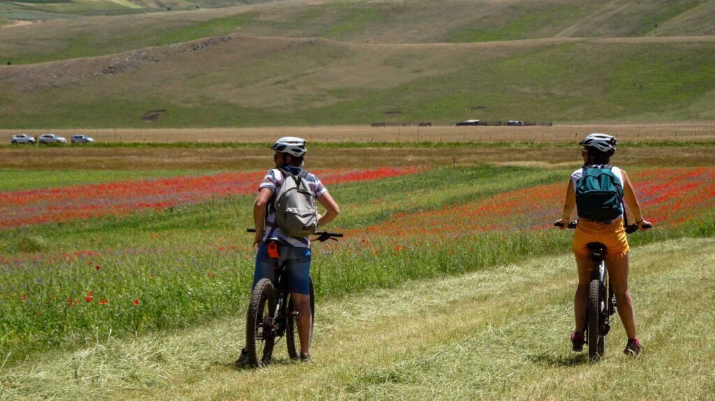 Visita della Fioritura di Castelluccio estate 2022